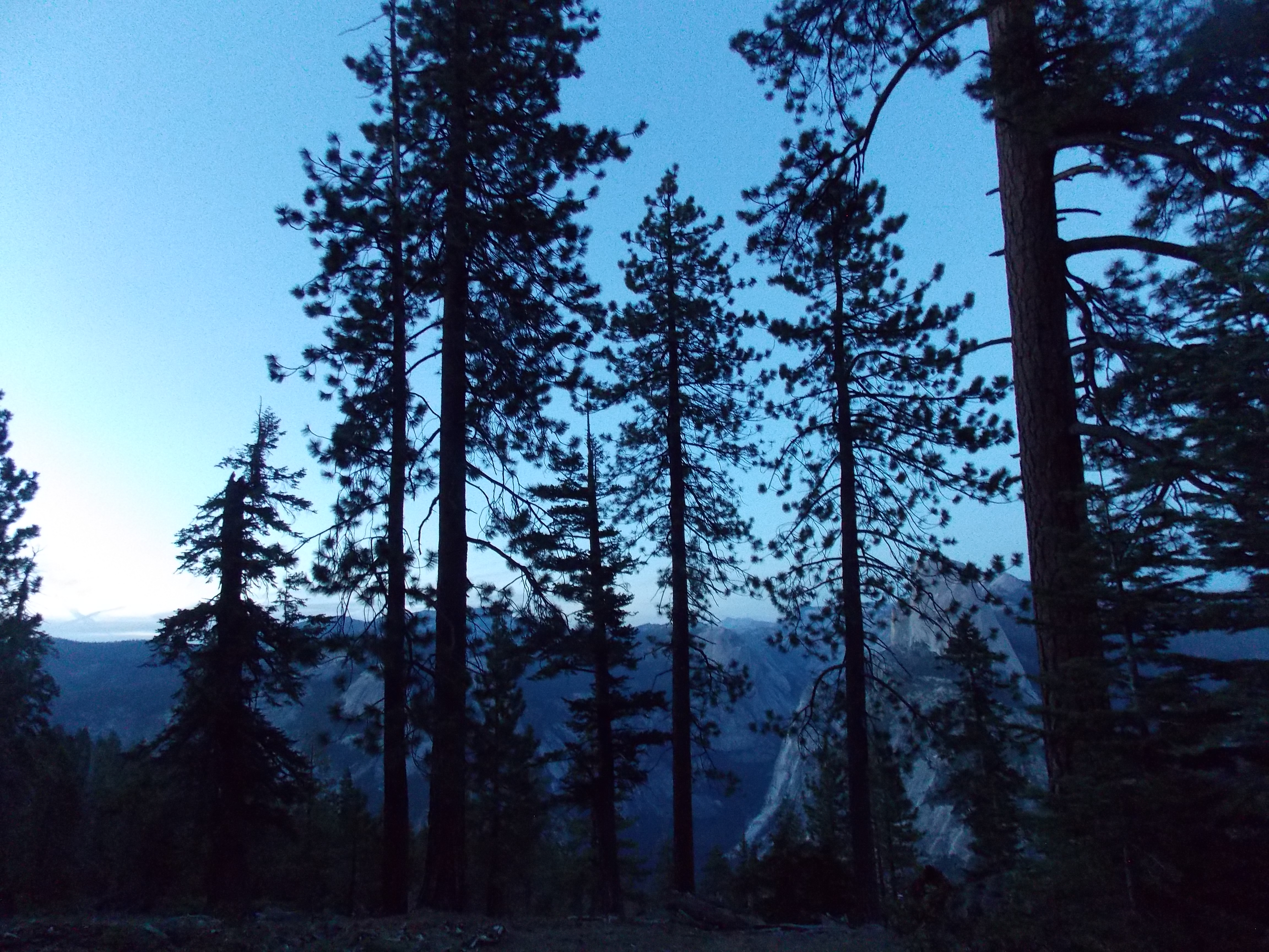 Yosemite 2015 177